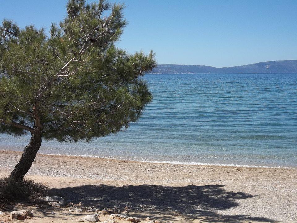 Lägenhet Relax